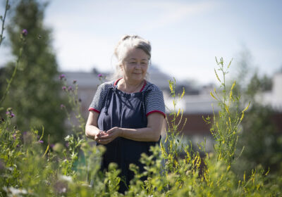 Ulla Lapiolahti